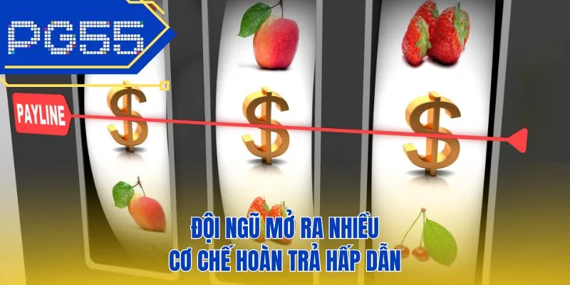 Đội ngũ mở ra nhiều cơ chế hoàn trả hấp dẫn